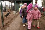 5G6H9139: Foto: Pejskové budou hodovat, koše dobrot jim přivezly děti z čáslavské školky Masarykova