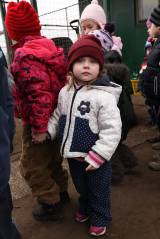 5G6H9150: Foto: Pejskové budou hodovat, koše dobrot jim přivezly děti z čáslavské školky Masarykova