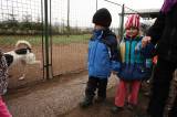 5G6H9184: Foto: Pejskové budou hodovat, koše dobrot jim přivezly děti z čáslavské školky Masarykova
