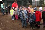5G6H9244: Foto: Pejskové budou hodovat, koše dobrot jim přivezly děti z čáslavské školky Masarykova