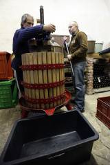 5G6H0514: Kutnohorští vinaři začali ručně lisovat letošní slámové víno