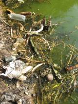 odpad3: Tupadelští myslivci znovu vyčistili černou skládku v lokalitě Bambousek u Čáslavi