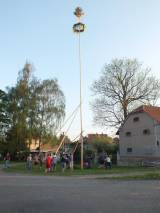 DSCF0653: Foto: Také v Olšanech vztyčili k nebi několikametrovou máj