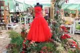 IMG_9119: Výstava růží, sukulentů a kaktusů v Zahradnickém centru Hortis Čáslav lákala