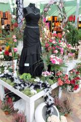 IMG_9125: Výstava růží, sukulentů a kaktusů v Zahradnickém centru Hortis Čáslav lákala