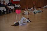DSC_0063: VI. Benefiční ples pomohl, více jak padesát tisíc věnují na motomed a sportovní aktivity dětí