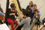 5G6H0766: Foto: Kutnohorský komorní orchestr zkouší na vánoční koncerty v GASKu