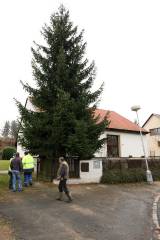 5G6H2552: Kutnou Horu ozdobil vánoční strom z Dolního Žižkova od manželů Křivohlavých