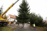 5G6H2654: Kutnou Horu ozdobil vánoční strom z Dolního Žižkova od manželů Křivohlavých
