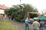 5G6H2697: Kutnou Horu ozdobil vánoční strom z Dolního Žižkova od manželů Křivohlavých
