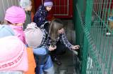 5G6H5889: Foto: Děti z Mateřské školy Masarykova se postaraly pejskům o bohaté Vánoce