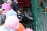 5G6H5892: Foto: Děti z Mateřské školy Masarykova se postaraly pejskům o bohaté Vánoce