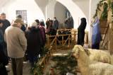 IMG_3096: Foto: Vánoční slavnosti na zámku Kačina přilákaly v mrazivém počasí desítky návštěvníků