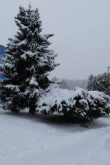 zruc117: Foto: Sněhová nadílka změnila Zruč nad Sázavou v pohádkové království