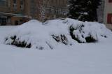 zruc146: Foto: Sněhová nadílka změnila Zruč nad Sázavou v pohádkové království
