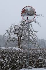 zruc153: Foto: Sněhová nadílka změnila Zruč nad Sázavou v pohádkové království