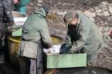 IMG_8464: Foto: Rybáři v sobotu vylovili Podměstský rybník v Čáslavi