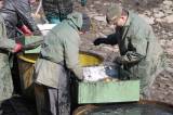 IMG_8465: Foto: Rybáři v sobotu vylovili Podměstský rybník v Čáslavi