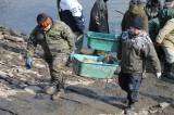 IMG_8474: Foto: Rybáři v sobotu vylovili Podměstský rybník v Čáslavi