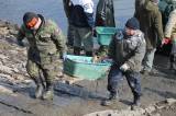 IMG_8475: Foto: Rybáři v sobotu vylovili Podměstský rybník v Čáslavi