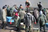 IMG_8476: Foto: Rybáři v sobotu vylovili Podměstský rybník v Čáslavi