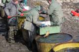 IMG_8504: Foto: Rybáři v sobotu vylovili Podměstský rybník v Čáslavi