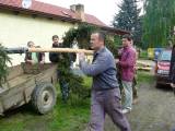 P1350825: Foto, video: Ve Vodrantech stavěli máj dvakrát, při nočním řezání přistihli hochy z Močovic