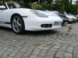 P1290565: Foto, video: Na čáslavském Žižkově náměstí obdivovali vozy značky Porsche