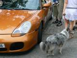 P1290602: Foto, video: Na čáslavském Žižkově náměstí obdivovali vozy značky Porsche