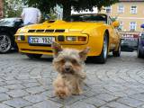 P1290620: Foto, video: Na čáslavském Žižkově náměstí obdivovali vozy značky Porsche