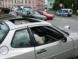 P1290663: Foto, video: Na čáslavském Žižkově náměstí obdivovali vozy značky Porsche