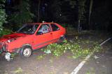 DSC_0808: Foto: Hlízovskem se prohnala silná bouře, způsobila nehodu i odříznutí od elektřiny