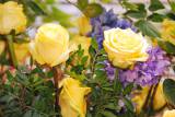 dsc_0049: Tip: Podzimní výstava s růžemi ve stylu francouzských zahrad