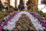 dsc_0124: Tip: Podzimní výstava s růžemi ve stylu francouzských zahrad