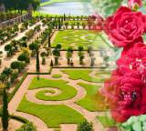 vystva_ruzi: Tip: Podzimní výstava s růžemi ve stylu francouzských zahrad