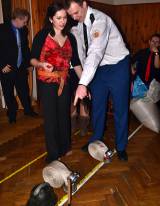 DSC_3063: Foto: Mažoretky či požární útoky - to je stručný výčet z programu Hasičského plesu v Močovicích