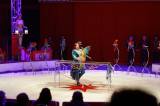 _MG_3891: Foto: V Kutné Hoře hostuje cirkus Berousek, přivezl i tradiční medvědy