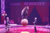 _MG_3968: Foto: V Kutné Hoře hostuje cirkus Berousek, přivezl i tradiční medvědy