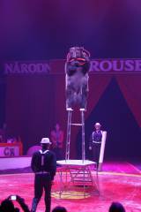 _MG_3982: Foto: V Kutné Hoře hostuje cirkus Berousek, přivezl i tradiční medvědy