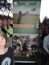 DSCN6293: Foto, video: Záchranáři z Vlašimi vypustili v Čáslavi kolonii netopýrů rezavých