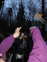 DSCN6356: Foto, video: Záchranáři z Vlašimi vypustili v Čáslavi kolonii netopýrů rezavých