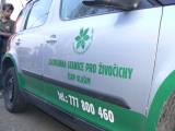 P1310345: Foto, video: Záchranáři z Vlašimi vypustili v Čáslavi kolonii netopýrů rezavých