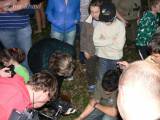 P1310405: Foto, video: Záchranáři z Vlašimi vypustili v Čáslavi kolonii netopýrů rezavých