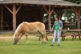 5G6H3897: Foto: Na ranči Dalu v sobotu před obědem začal desátý Sportovní den s koňmi