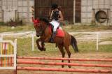 5G6H3965: Foto: Na ranči Dalu v sobotu před obědem začal desátý Sportovní den s koňmi