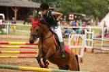 5G6H3976: Foto: Na ranči Dalu v sobotu před obědem začal desátý Sportovní den s koňmi