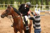 5G6H4065: Foto: Na ranči Dalu v sobotu před obědem začal desátý Sportovní den s koňmi