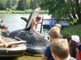 P1320980: Foto, video: Hladinu Podmětského rybníku čeřila po domácku vyrobená plavidla