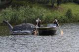 _MG_6847: Foto, video: Hladinu Podmětského rybníku čeřila po domácku vyrobená plavidla