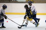 5G6H7385: Foto: Hokejbalisté z Hostivaře si pro soustředění vybrali zimní stadion v Kutné Hoře
